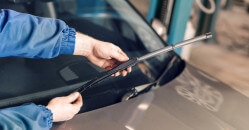 Palhetas, aprenda a cuidar 